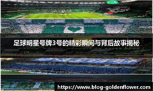 足球明星号牌3号的精彩瞬间与背后故事揭秘